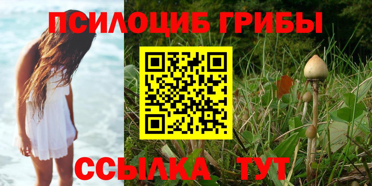Галлюциногенные грибы GOLDEN TEACHER Невинномысск