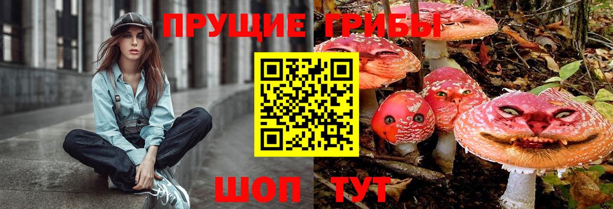 продажа наркотиков  Псилоцибиновые грибы MAGIC MUSHROOMS  Невинномысск  Вход с VPN  Галлюциногенные грибы Psilocybe 